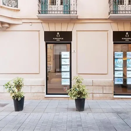 Apartment Pineapple Trinidad 20 Malaga
